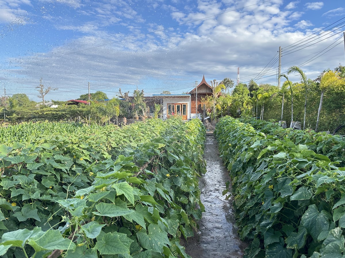 หน้าบ้านต้อนรับ